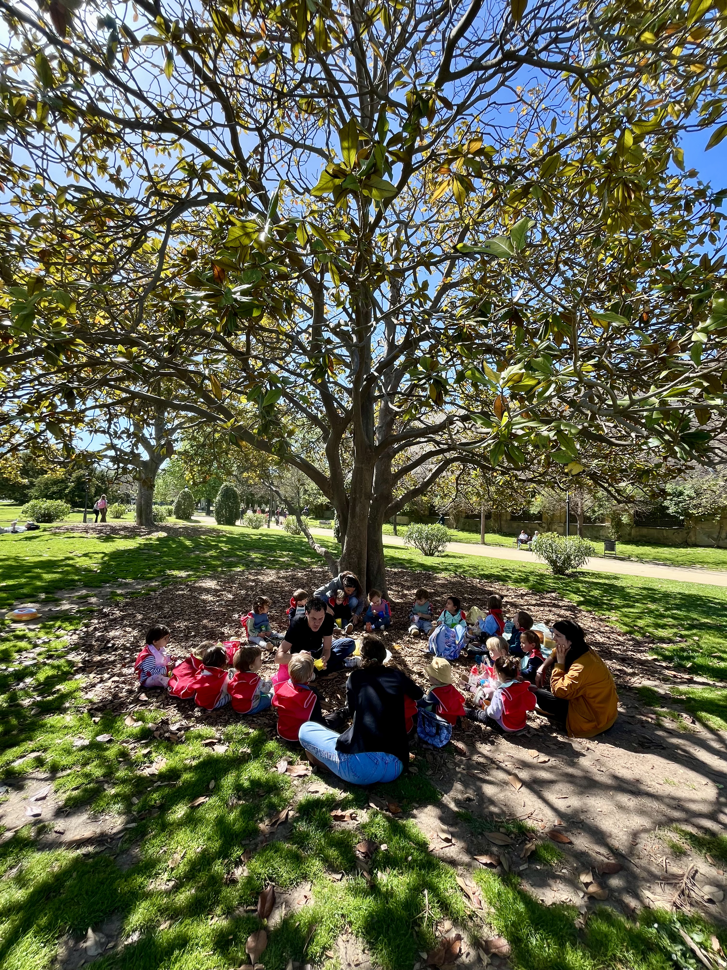 Picnic at the park