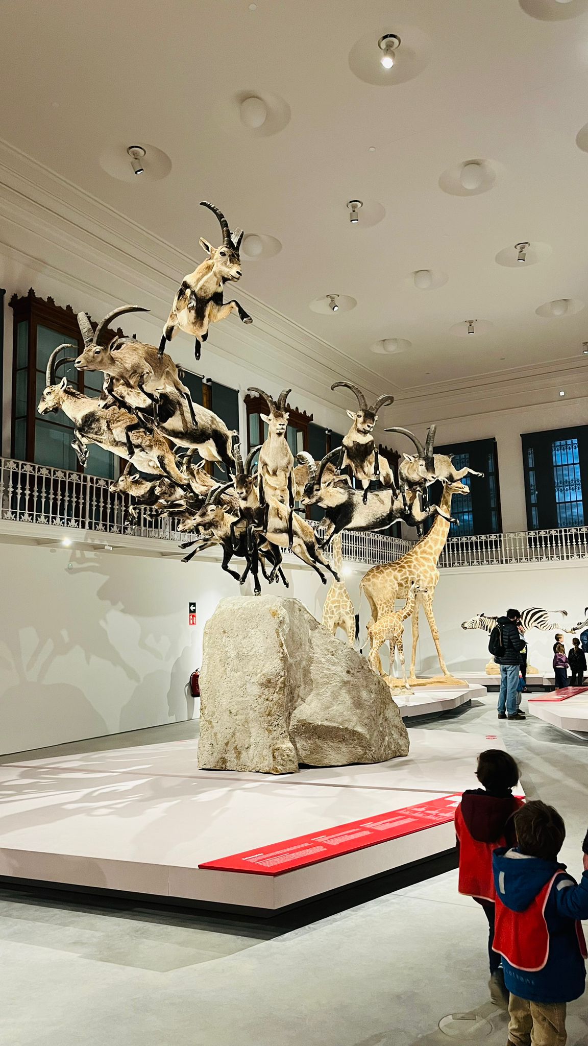 Musée d'histoire naturelle